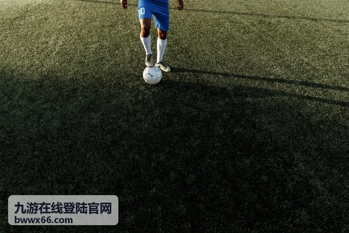 九游在线登陆官网登录入口指引示意图